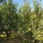 Apartamento Grand Ac With Garden & Parking Saraievo