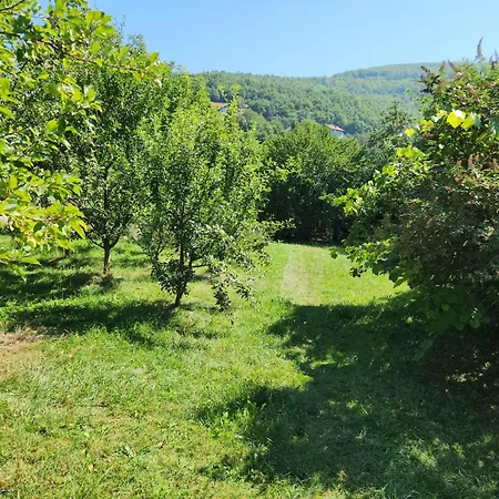 Grand Ac With Garden & Parking Sarajevo