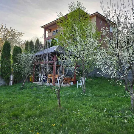 شقة Grand Ac With Garden & Parking