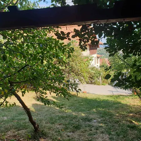 شقة Grand Ac With Garden & Parking سراييفو