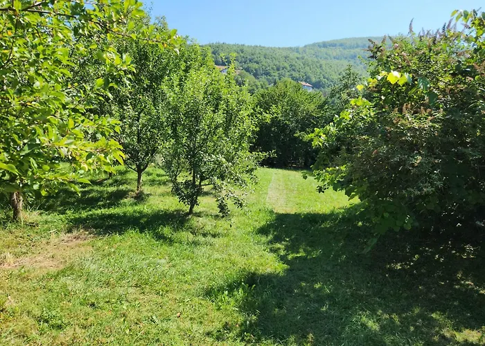 Grand Ac With Garden & Parking Sarajevo